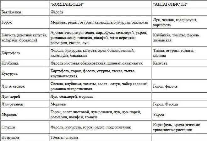 После перца можно сажать на следующий год. Совместимость овощей на огороде при посадке таблица. Соседство растений на огороде таблица овощей грядках совместимости. Таблица совместимости растений на огороде соседство овощей. Совместимость овощных культур при посадке на грядке таблица.