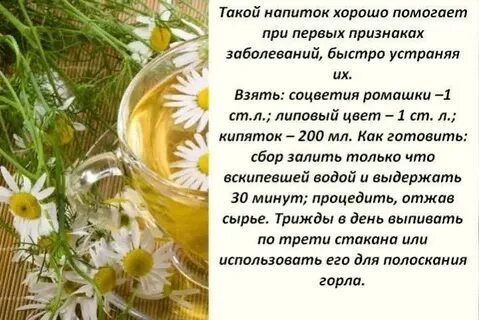 Ромашка при боли