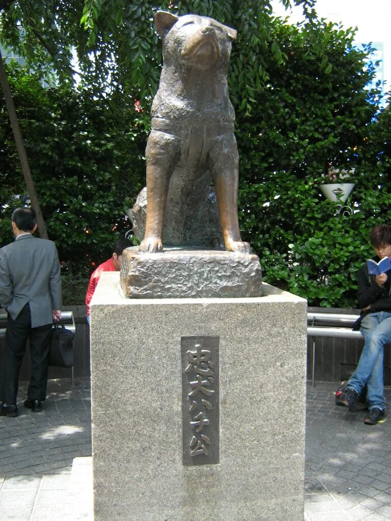 Памятник Хатико. Сибуя Хатико. Хатико настоящий Сибуя 1933. Памятник Хатико в Токио. Хатико умерший
