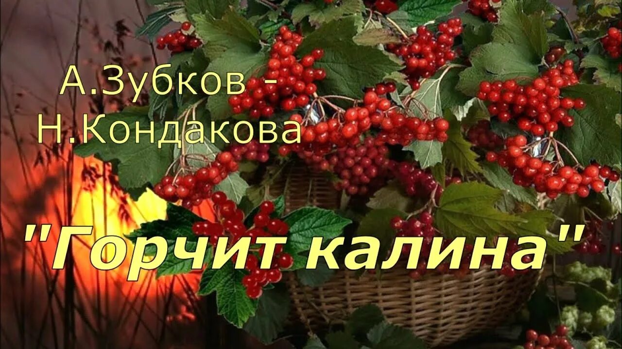 Калина исполняет. Песня горчит Калина. Горчит Калина текст. Горчит Калина губ твоих текст.