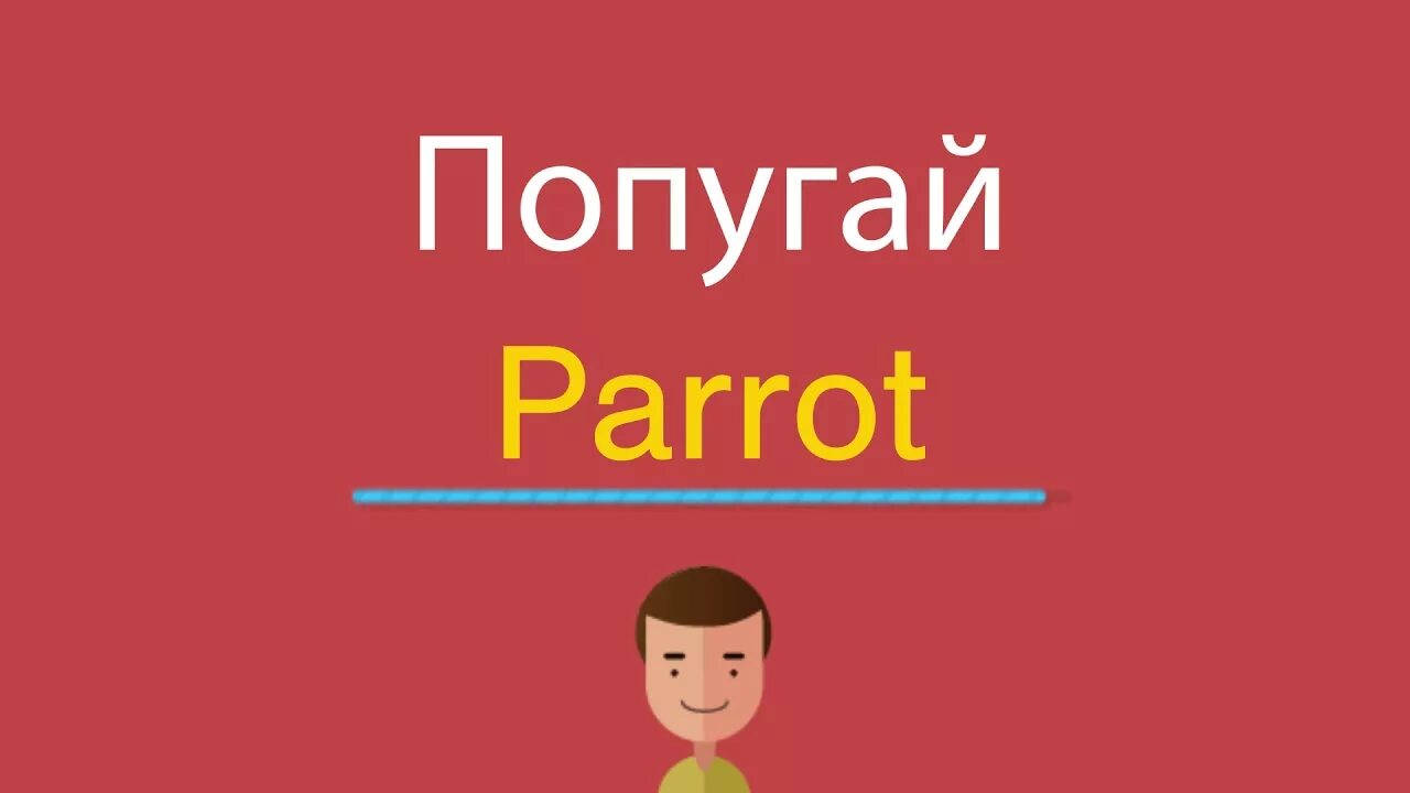 Parrot перевод на русский язык. Попугай по. Попугай по английски. Попугай как читается на английском. Попугай по-английски с транскрипцией.