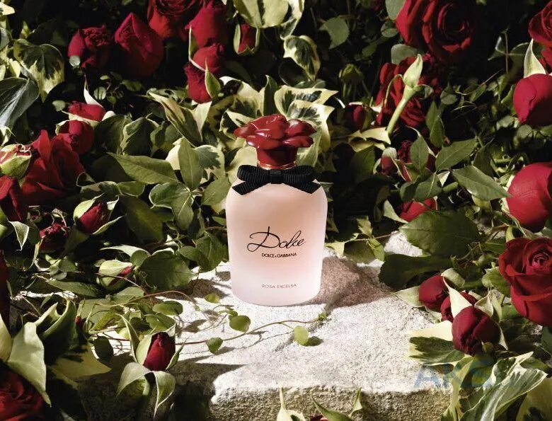 Dolce Gabbana духи Rosa Excelsa. Dolce & Gabbana Dolce Rosa Excelsa. Дольче Габбана цветочный аромат.