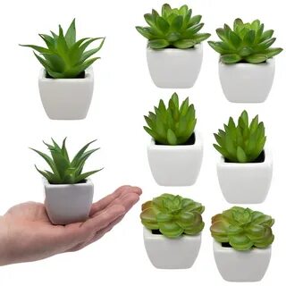 Tiny plants