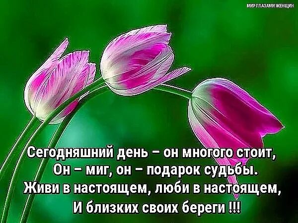 Пусть вдуше живнт МТР И гаомогич. Живите сегодняшним днем. Пусть в душе живет мир и Гармония. Пусть в душе живет мир и Гармония в сердце добрые. Люди живущие сегодняшним днем