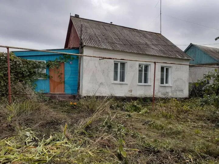 Новосолдатка воронежская область. Рогозна тамбовской мордовского погода. Село кужное. Рогозна тамбовской мордовского погода. Тамбовская область, мордовский р-н, с.