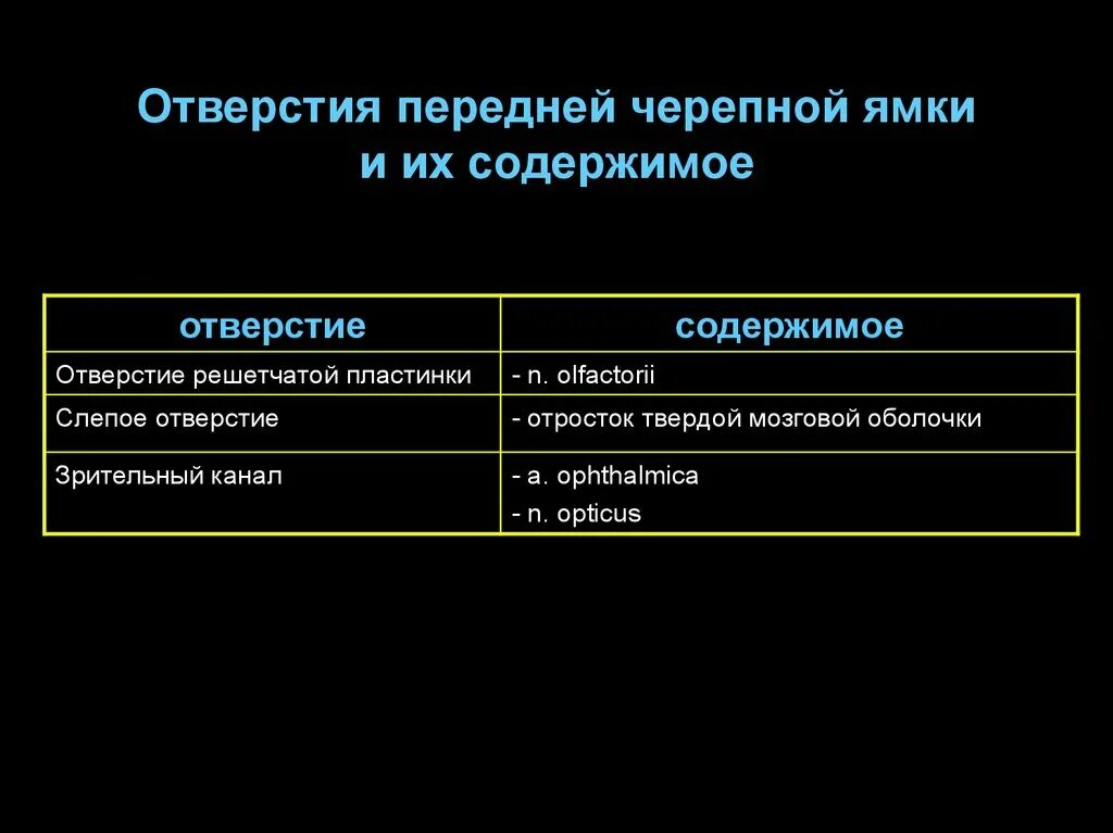 Кости образующие среднюю черепную ямку