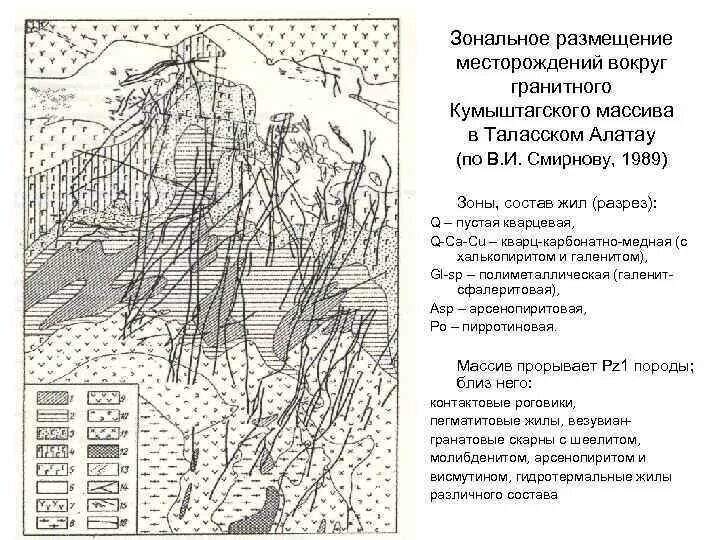Основные зональные типы почв. Зональное размещение почв это. Факторы зонального размещения почв. Типы почв россии с севера на юг. Схема взаимосвязь типов почв с климатом и растительностью.