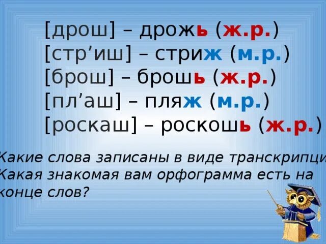 Слова на ж с мягким знаком. Слова ж р. Слова ж р м р с р. Ж Р, И М Р слова.. Слова на ж.