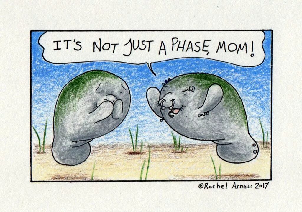 Phase mom