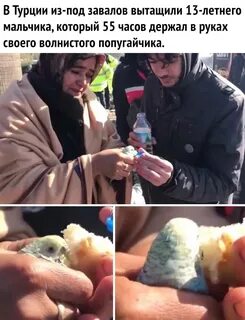 Обе живы