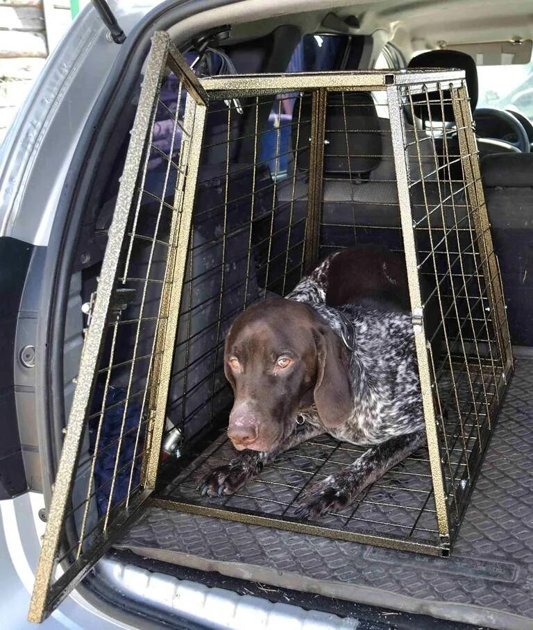 Клетка для собак в автомобиль. Клетка для перевоза собак в машине. Клетка в багажник для собаки. Клетка автомобильная для собак. Как перевозятся крупные собаки