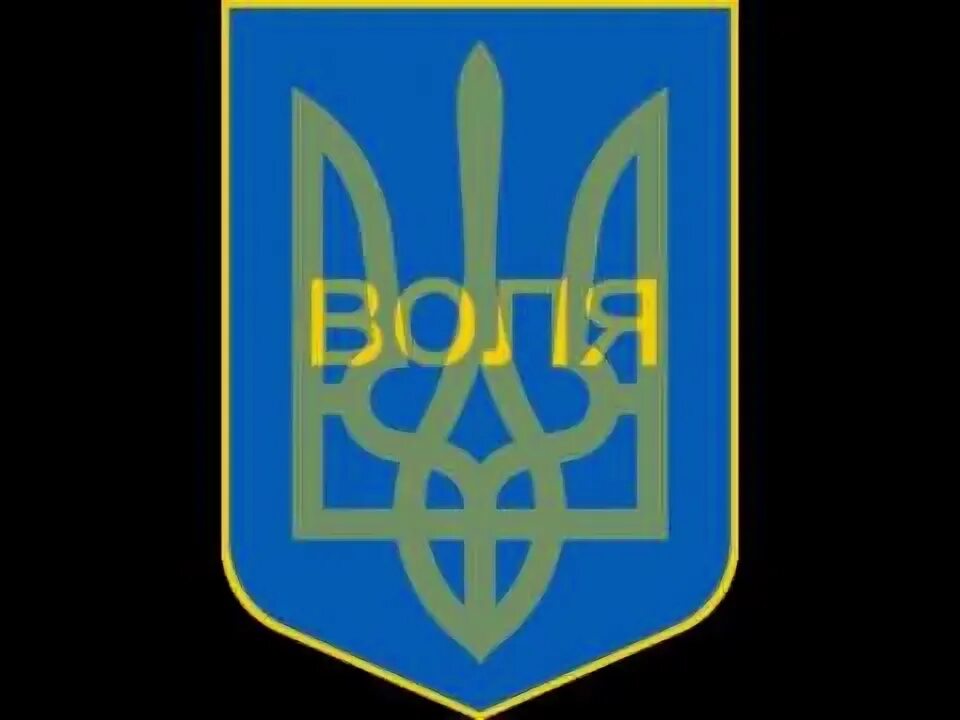 Флаг украины с гербом. Украинские символы. Волю україні. Флаг воля украины або смерть махно. Воля або смерть футболка.