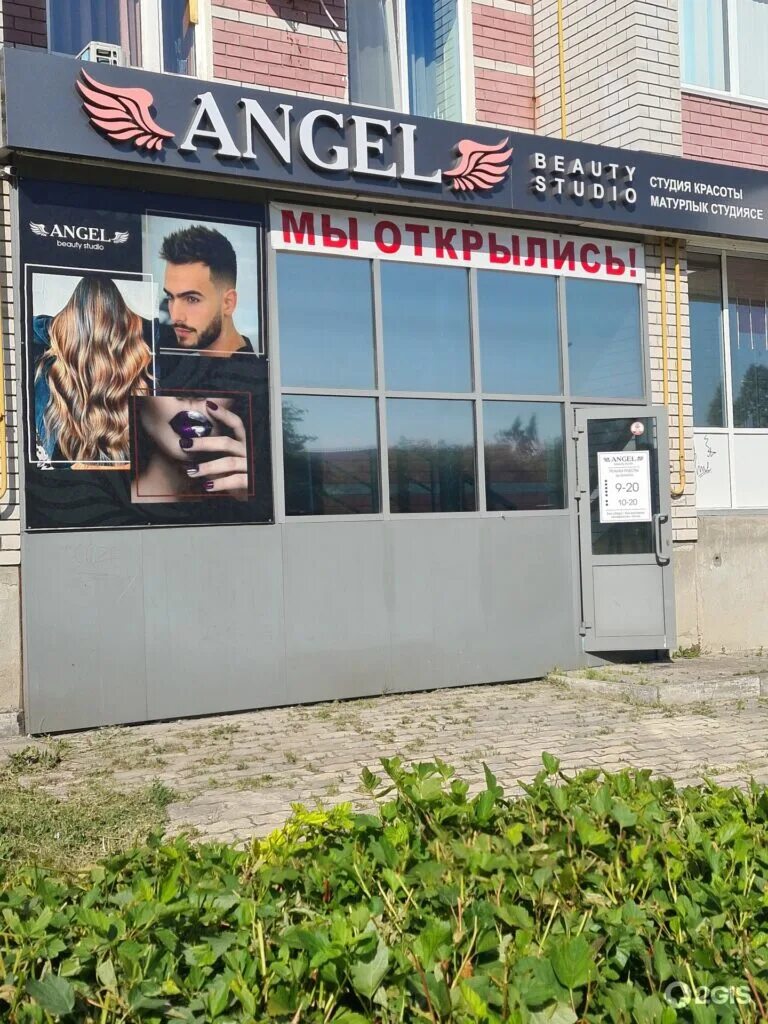 Ангелов студия. Ангелов студия
