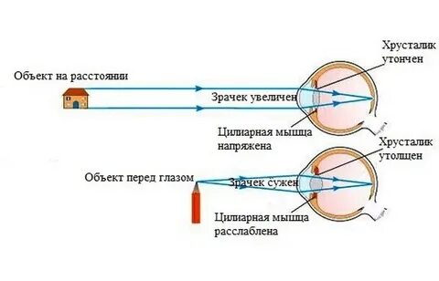 Как работает меняла