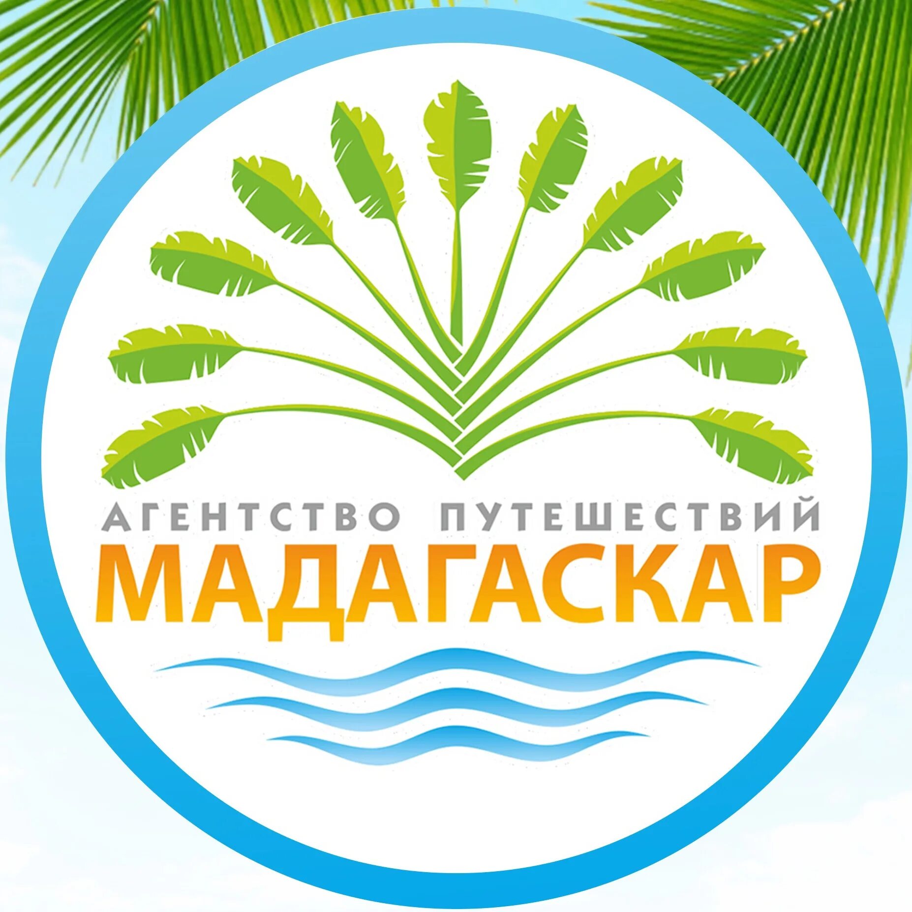 Мадагаскар вологда турфирма. Дц мадагаскар вологда. Ап мадагаскар, вологда. Мадагаскар туризм. Логотип турфирмы мадагаскар.