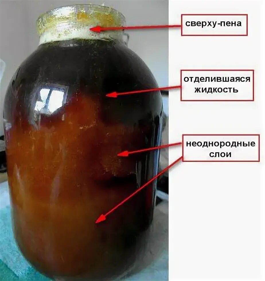 Почему жидкая. Забродивший мед. Жидкий мед. Мед расслоился. Мёд расслоился при хранении.