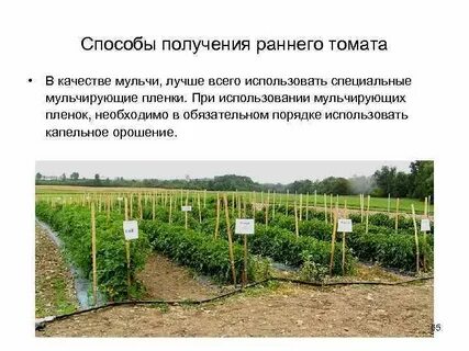 Получение ранний