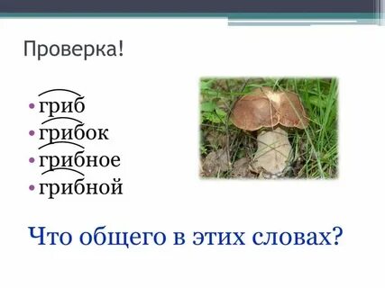 Какое окончание в слове гриб