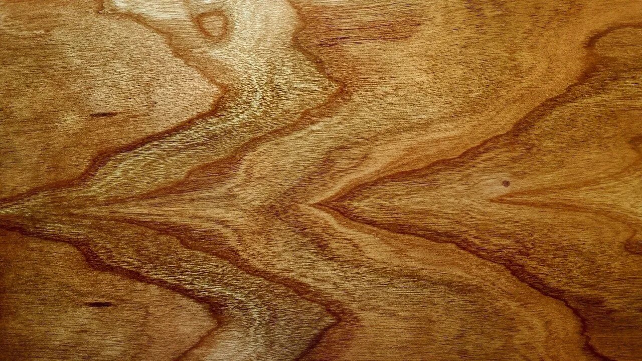 Выделить структура дерева. Браун вуд (brown wood). текстура кедр слэб. граб текстура древесины. шпон дерева.
