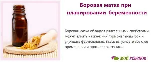Можно пить боровую матку во время месячных. Боровая матка для беременности. боровая матка при планировании беременности. боровая матка чтобы забеременеть. как пить боровую матку чтобы забеременеть.