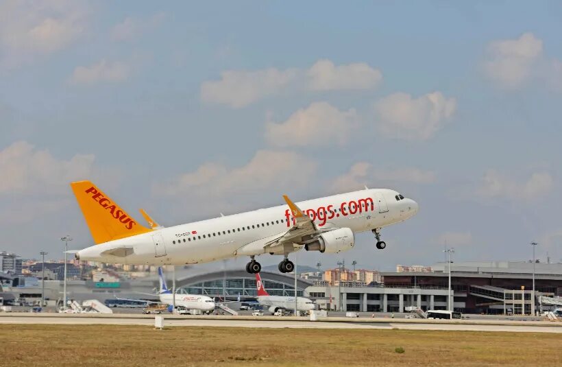 Pegasus airlines мерсин тарсус аэропорт чукурова. Авиакомпания пегасус эйрлайнс. аэробус а320 пегасус. турецкая авиакомпания пегасус. pegasus airlines airbus-320.