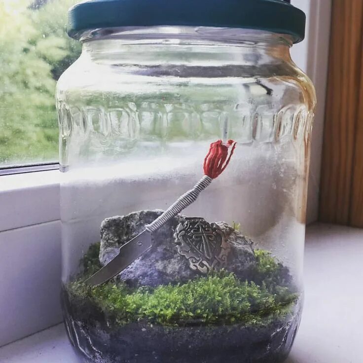 Природные экологические системы. Замкнутая экосистема в банке дэвид латимер. Экосистема. Экосистема в банке. Экологические сообщества.