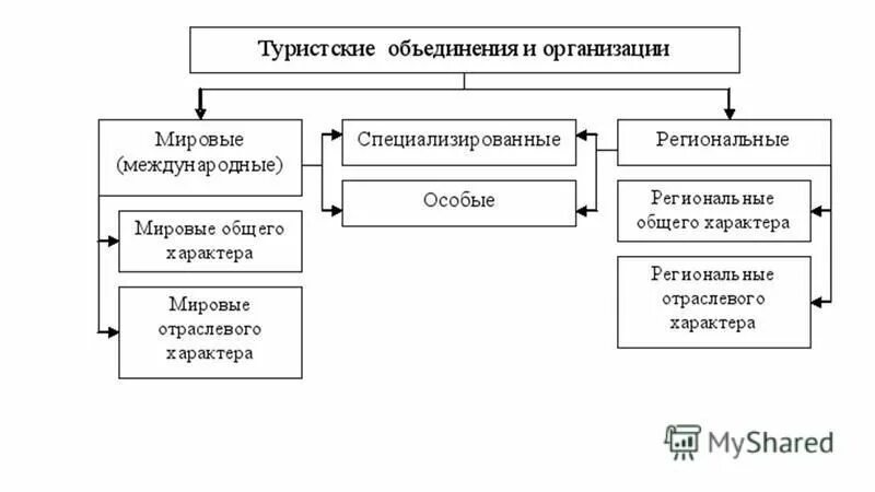 Организация международного туризма