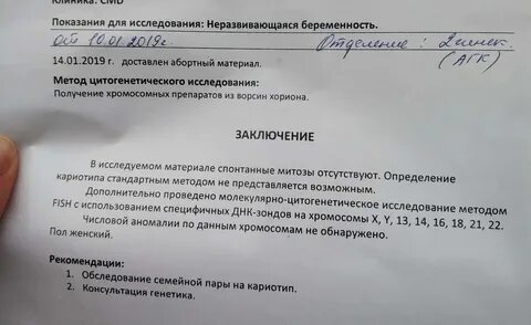 Новая беременность после замершей