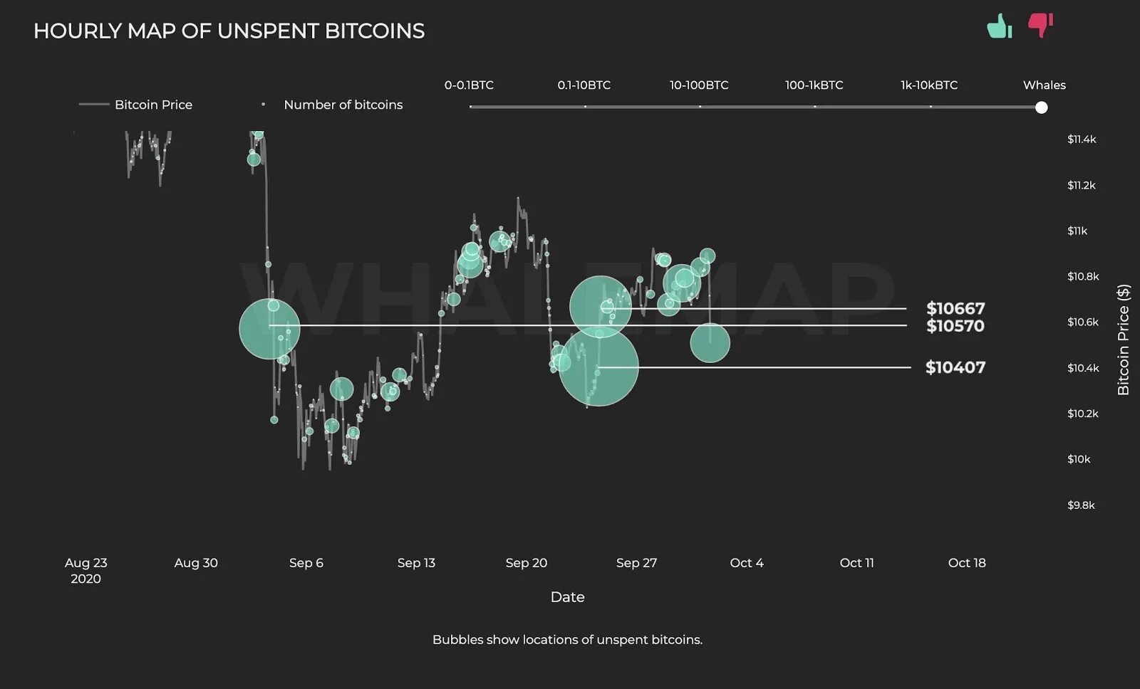 Top 10 bitcoin whales part