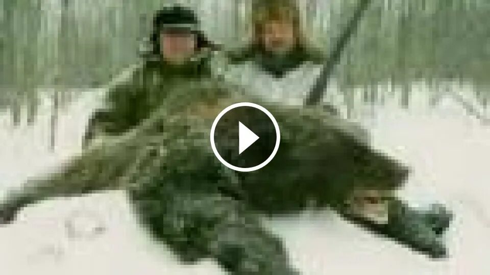 Медведь ошибок