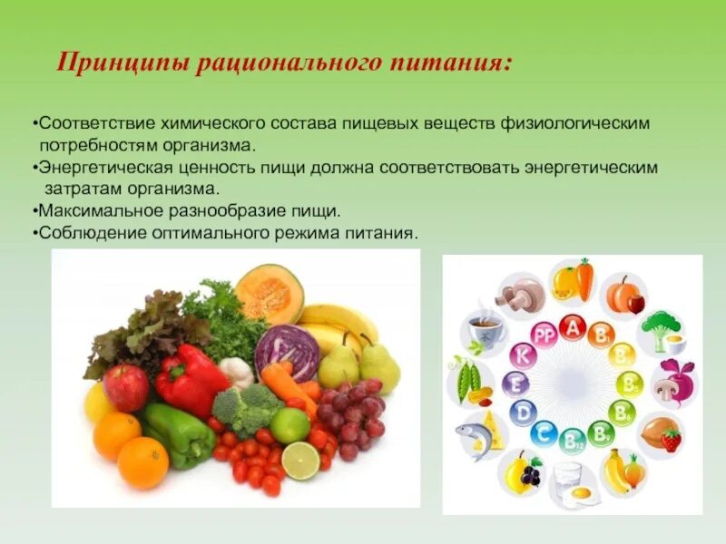 Пищевые вещества продуктов питания. Аспекты рационального питания. Принципы здорового питания. Питательные вещества рационального питания. Состав рационального питания.