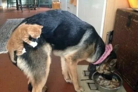 Трогающие 3