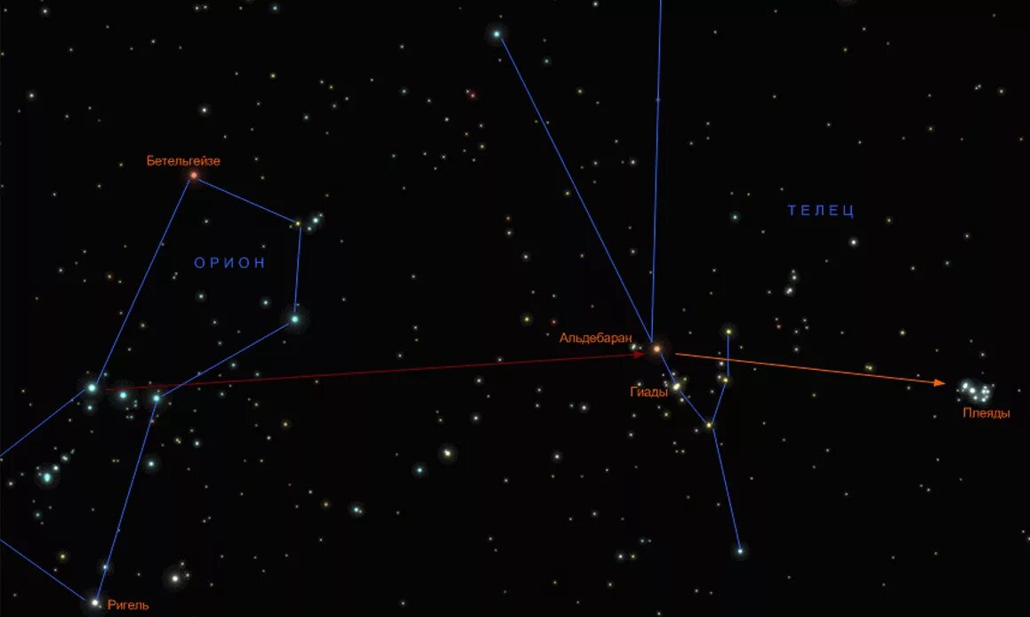 Созвездие альдебаран находится в созвездии. Созвездие Телец Альдебаран. Плеяды в созвездии тельца. Орион Телец Плеяды. Плеяды на карте звездного неба.
