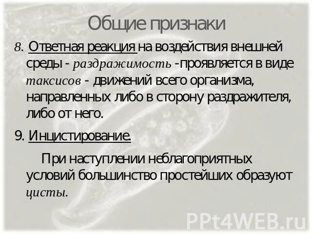 Ответная реакция организма на внешнее воздействие. Ответная реакция организма на воздействия внешней среды. Ответная реакция простейших на внешнее воздействие. Реакция на воздействие внешней среды у мальчиков и девочек.. Формы ответных реакций на воздействие раздражителей.