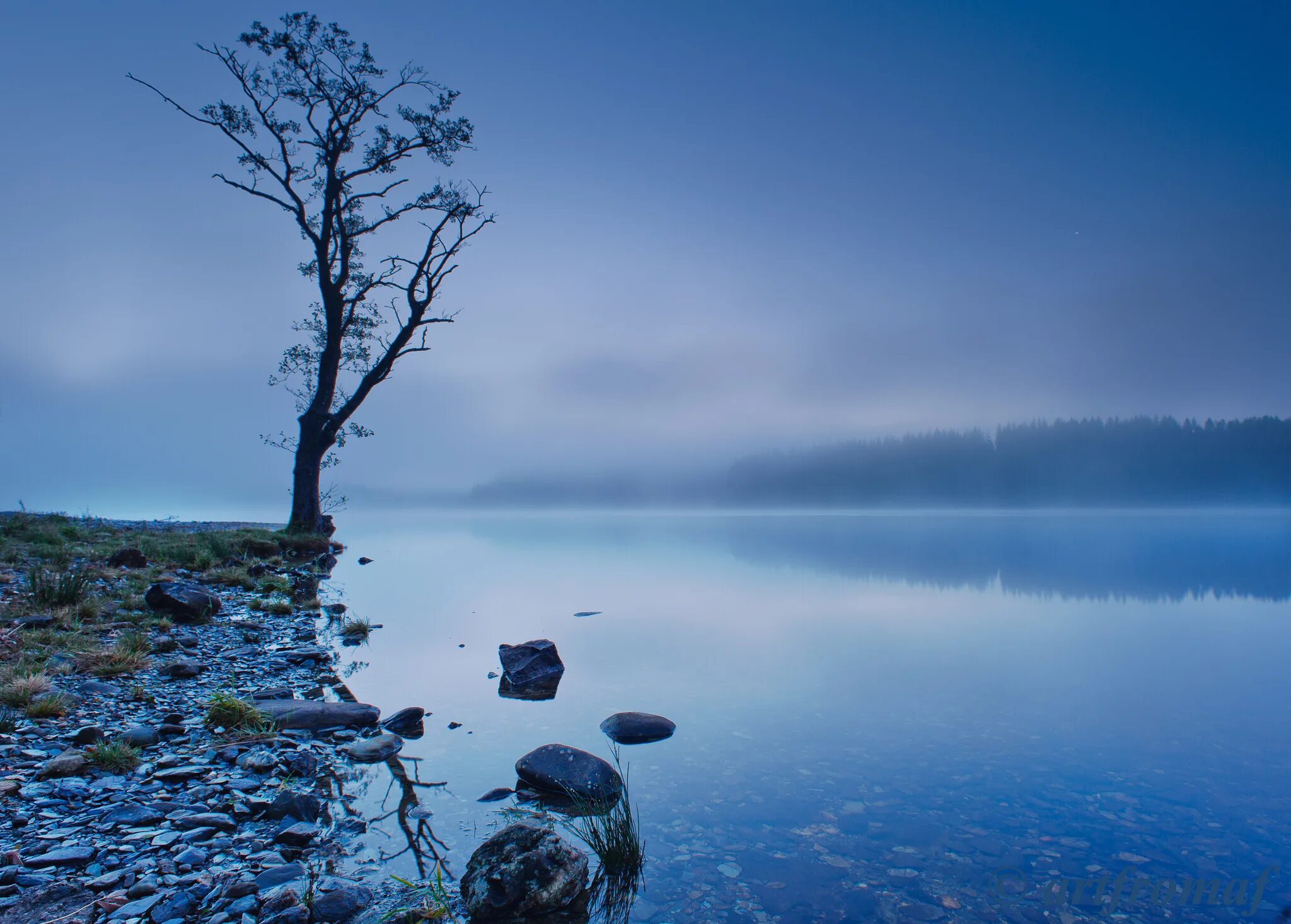 Качество тишины. Пейзаж с водой. Спокойный пейзаж. Одинокое озеро. Озеро в тумане.