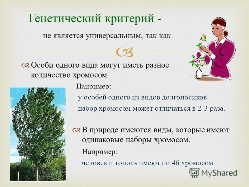 Генетический критерий. Генетический критерий. Генетический критерий характеристика. Генетический критерий описание. Генетический критерий примеры.