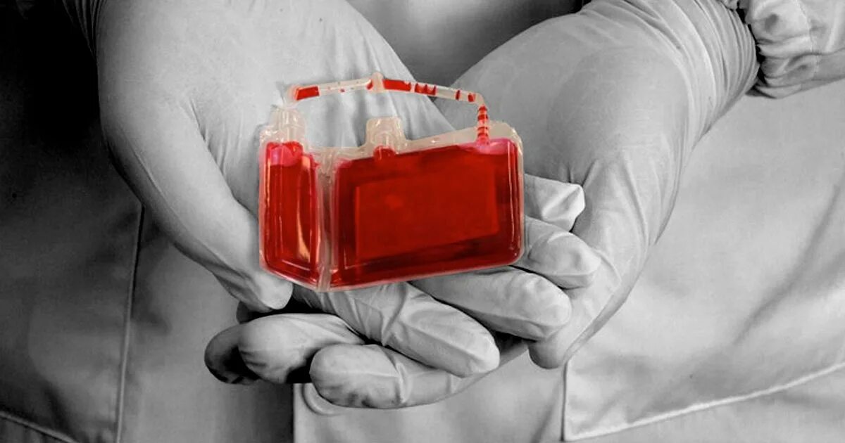 Донорство крови антибиотики. Забор пуповинной крови. Переливание донорской пуповинной крови.