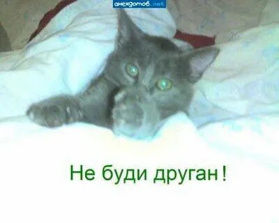 Скоро ляжем