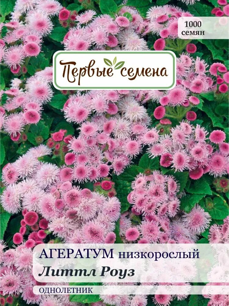 Агератум семена купить. Агератум розовый. Агератум Пинк Болл. Агератум семена.