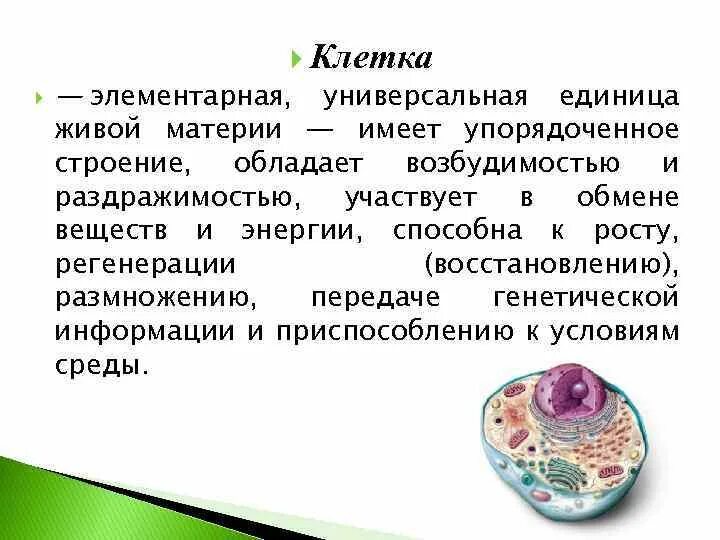 Элементарной единицей ткани является. Клетка элементарная единица. Клетка элементарная единица живого. Клетка - элементарная единица всего живого. Клетка структурно функциональная единица живого.