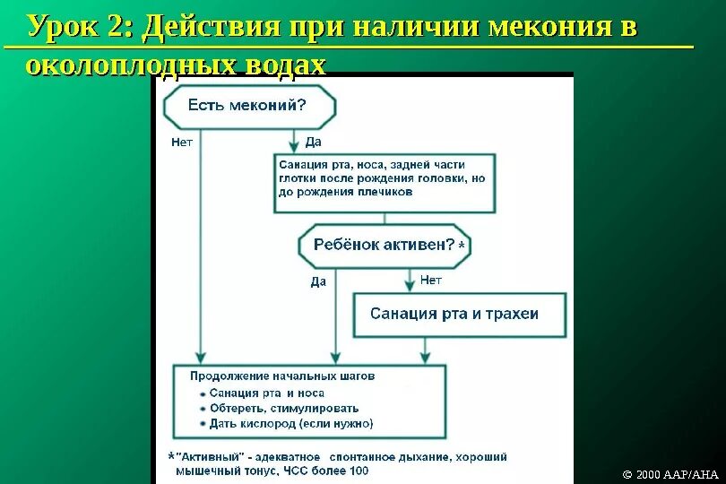 Алгоритм при асфиксии новорожденного. Протокол первичной реанимации новорожденных. схема реанимации новорожденных. реанимация новорожденных алгоритм. первичная реанимация новорожденных алгоритм.