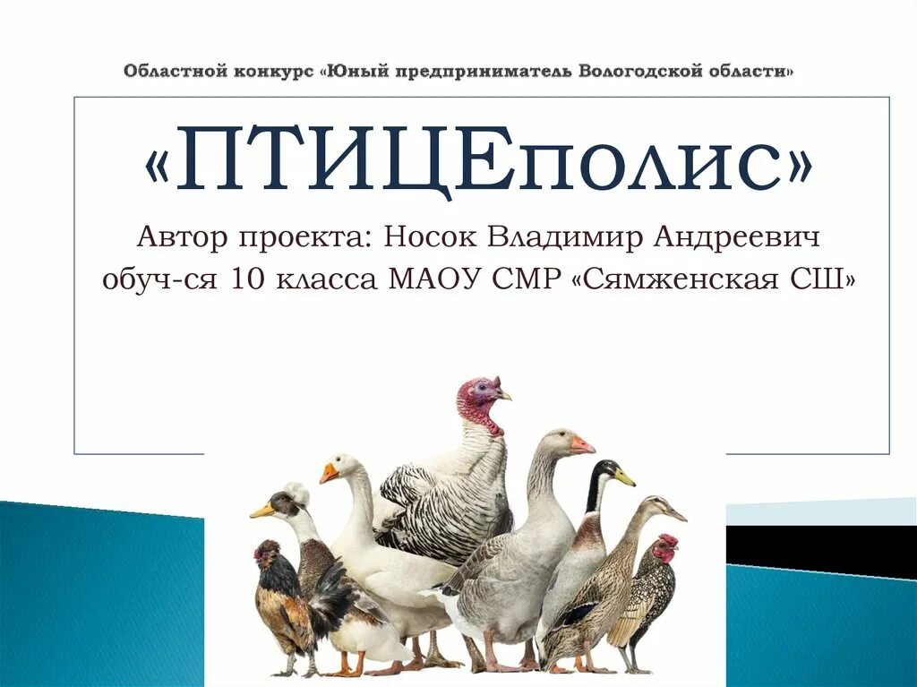 Таблица расхода кормов для бройлеров. Мини птицеферма кур несушек. Куры несушки 4 месяцев вес. Птицефабрика проект. Мини птицеферма несушек на 1000 голов.