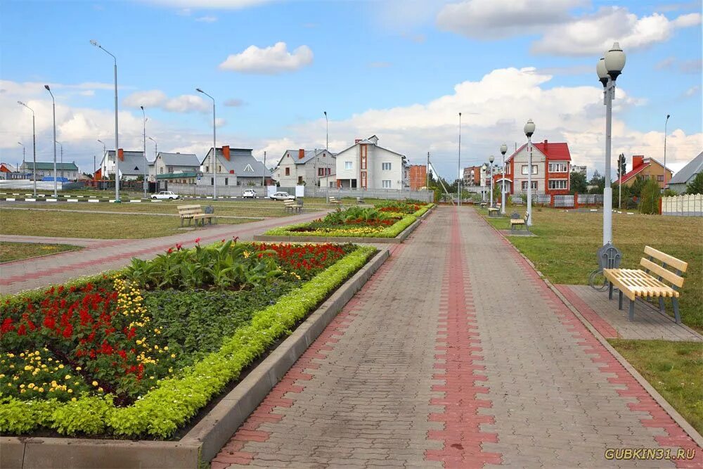 Город Губкин Белгородской области. Губкинский сквер. Город Губкин Кристалл. Губкин площадь города.