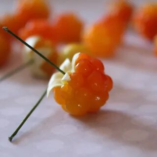 Морошка из полимерной