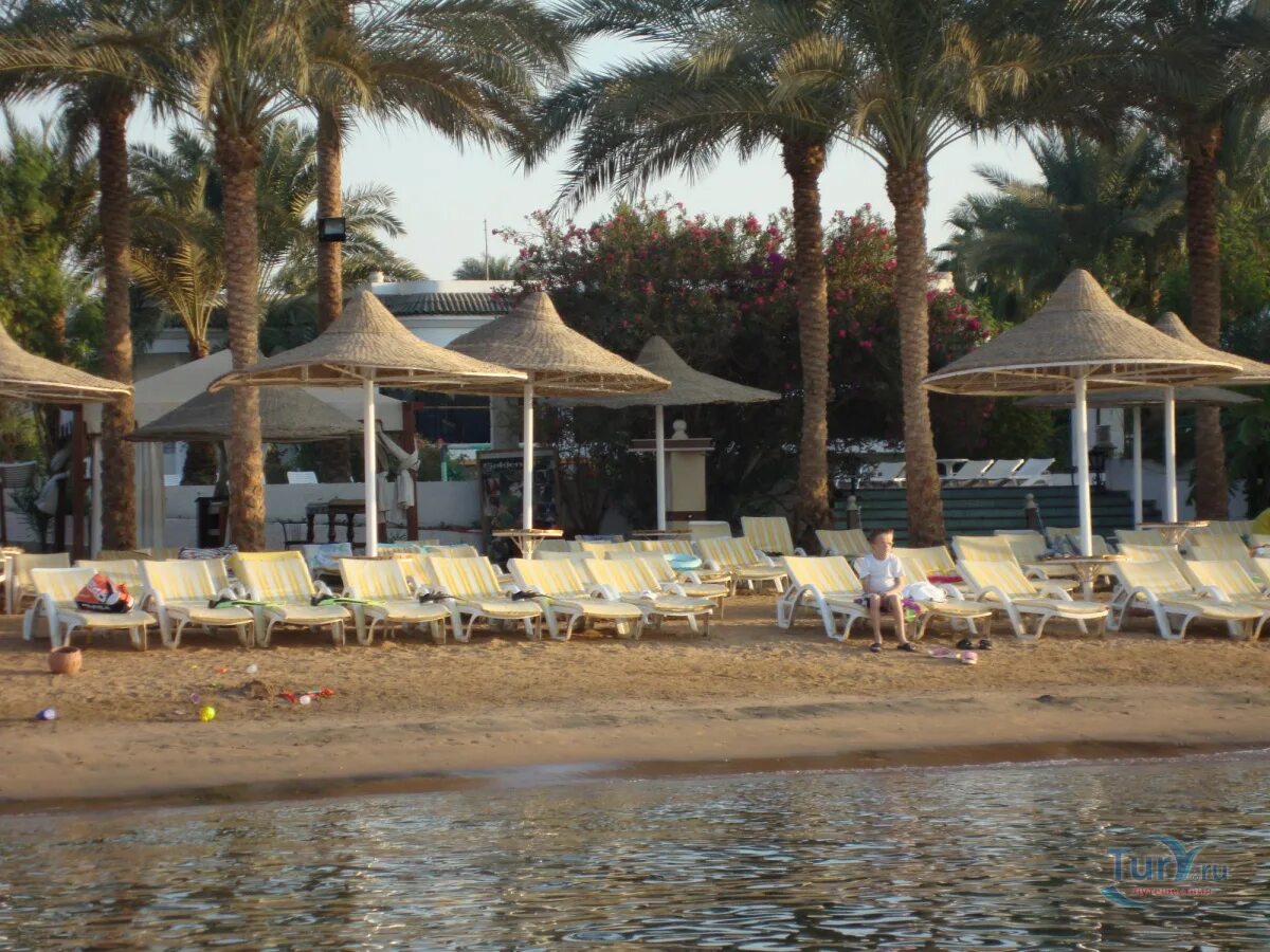 Dessole Seti Sharm. Дессоле Сити Шарм Шармель Шейх. Seti Sharm Palm Beach Resort. Dessole Seti Sharm Resort 4.