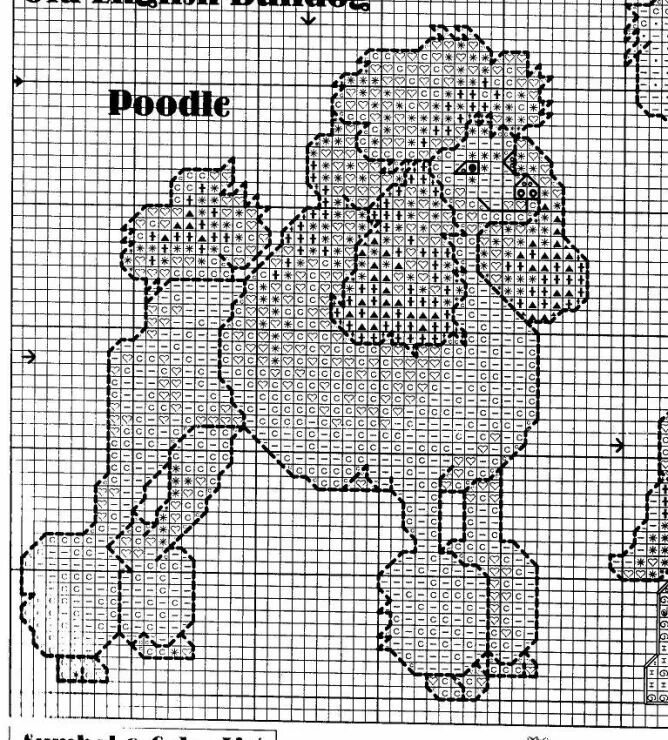 Схема пуделя. Вышивка пудель. Вышивка крестиком пудель. Схемы вышивки крестом собаки. Схема вышивки пудель.