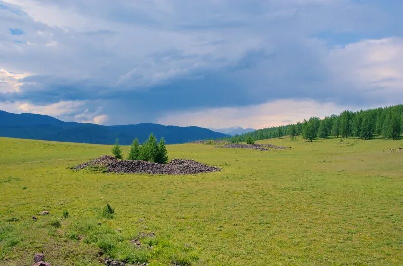 Пазырыкские Курганы и Балыктуюль. Пазырыкские Курганы горный Алтай. Пазырыкские Курганы на Алтае. Пазырыкские Курганы в Горном Алтае.