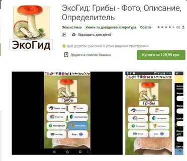 Приложение распознающее грибы
