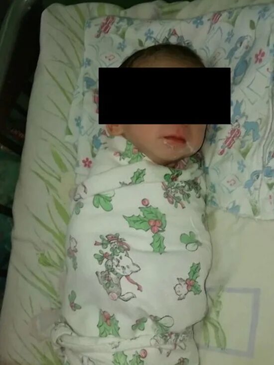 где нашли новорожденного ребенка. новорожденная девочка которую бросили в лесу. нашли новорожденную девочку в новосибирске. фото выброшенных младенцев. ребенок подкидыш под дверью.