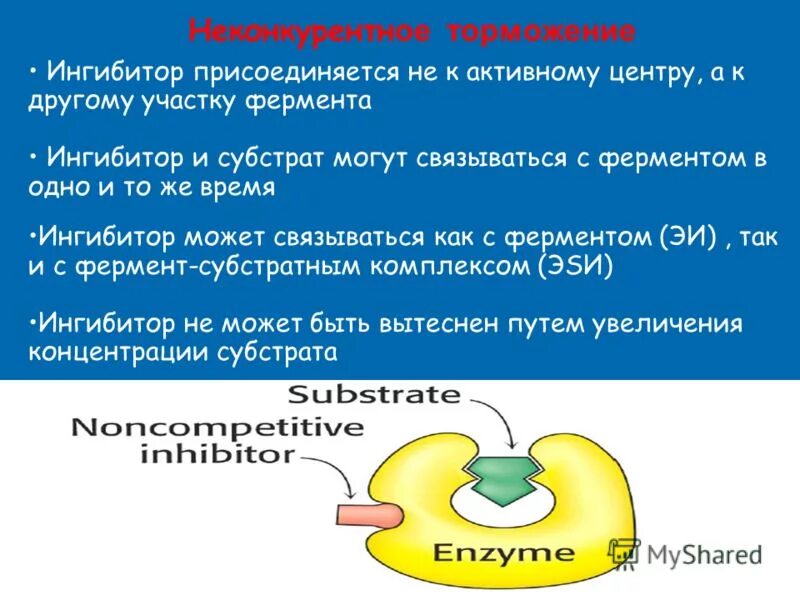 Ингибиторы ферментов являются